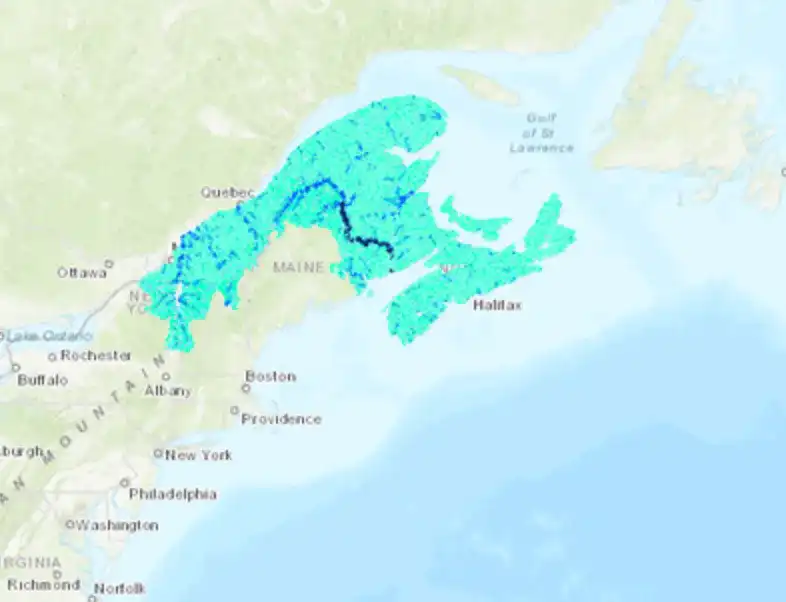 Screenshot of NCC stream and river classification layer over the Northern Appalachian – Acadian Region of Canada