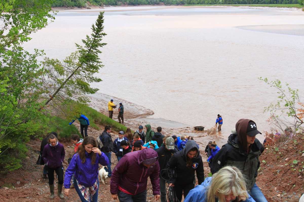 A group of people hiking uphill from a lake