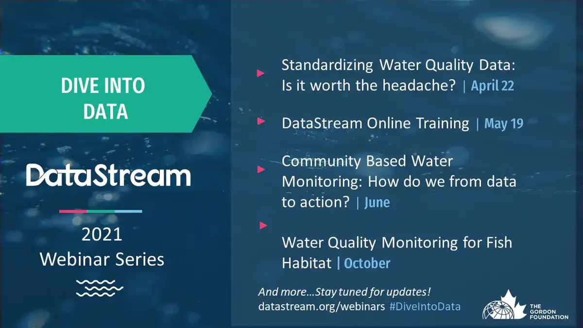 2021 Dive Into Data webinar series promo dates